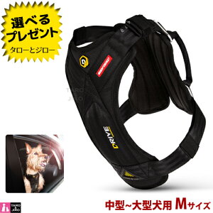 C[W[hbO p ԗp  hCun[lX MTCY `^p(v[g 29cm / ܂ 41`86cm / ܂艺 41`86cm) ubNy񂹁zyԕi/sz