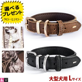 イージードッグ 犬用 首輪 レザーカラー Lサイズ(首回り 45〜55cm) 全2色(ブラック/ブラウン) プレミアム レザー コレクション【取寄商品】【営業日7〜10日程で発送】【返品/交換不可】
