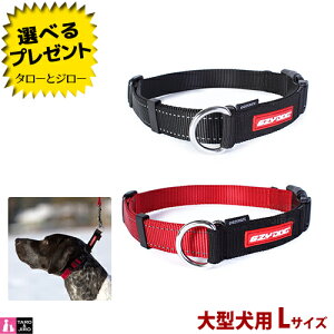 C[W[hbO p  `FbNCg LTCY ^p(܂42`62cm) S2F(ubN/bh)y񏤕izyԕi/sz