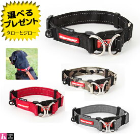イージードッグ 犬用 首輪 ダブルロックカラー Mサイズ 中型犬用(首まわり28〜37cm) 全4色 ( ブラック / レッド / グレイ / グリーンカモ )【取寄商品】【返品/交換不可】