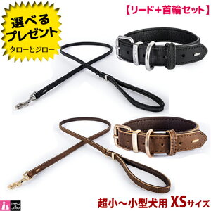 C[W[hbO p U[J[{[h Cg 낢 2_Zbg  XSTCY 25`30cm S2F(ubN/uE) v~A U[ RNVy񏤕izycƓ7`10