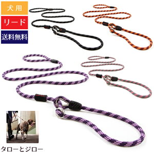 C[W[hbO p [h J[h 170cm `^p S4F(//IW/) 9mmy񏤕izyԕi/sz