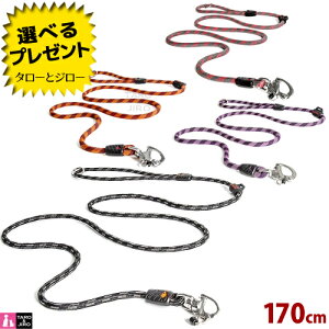 C[W[hbO p }[h 170cm S4F(//IW/) ^`^p AWeB g[jOy񏤕izyԕi/sz