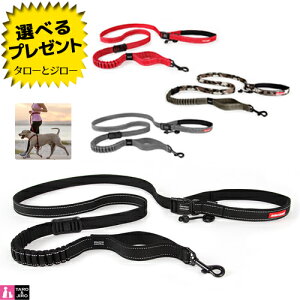 C[W[hbO p nYt[ [h [hi[ ^`^ 200cm S4F ( ubN / bh / O[J / OC )y񏤕izyԕi/sz