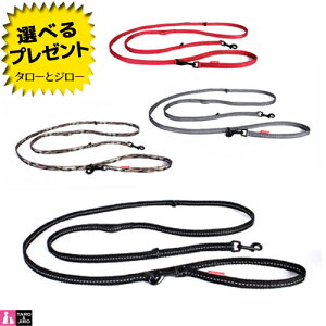 C[W[hbO p @\[h @I6 Cg S4F ( ubN / bh / OC / O[J )y񂹁zyԕi/sz