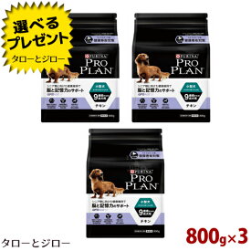 楽天市場 チャンピオン 犬用品 ペット ペットグッズ の通販