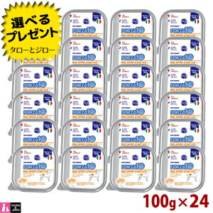 y|Cg10{zyIׂ邨܂tzFORZA10 (tHc@10) ANeBEFbg i[ 100g×24 ťNێ p EFbgt[h T|[g pe^Cv hbOt[h