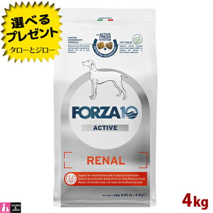 y|Cg10{zyIׂ邨܂tzFORZA10 (tHc@10) i[ ANeBu 4kg ťNێ p hbOt[h