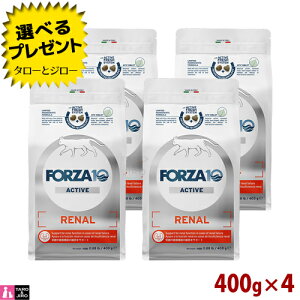�y�|�C���g10�{�z�y�I�ׂ邨�܂��t�zFORZA10 (�t�H���c�@10) ���i�[�� �A�N�e�B�u 400g×4 �t���̌��N�ێ� ���L�p �L���b�g�t�[�h