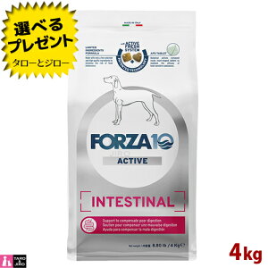 【ポイント10倍】【選べるおまけ付】FORZA10 (フォルツァ10) インテスティナル アクティブ 4kg 胃腸の健康維持 成犬用 ドッグフード