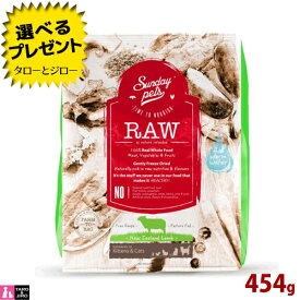 【選べるおまけ付】サンデーペッツ RAW ラム 454g 犬用 ドライフード ドッグフード