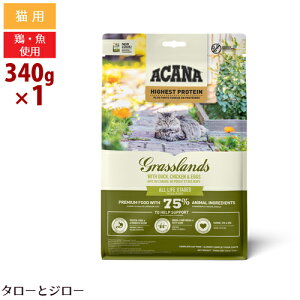 �y���j���[�A���z�A�J�i �n�C�G�X�g�v���e�C�� �O���X�����h�L���b�g 340g