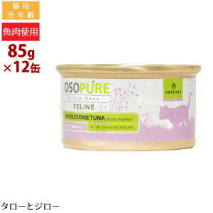 A[e~X I\sA tB[C ci 85g×12 Lp EFbgt[h Lbgt[h ʋl