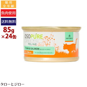 y|Cg5{z yIׂ邨܂tz A[e~X I\sA tB[C ciT[ 85g×24 Lp EFbgt[h Lbgt[h ʋl