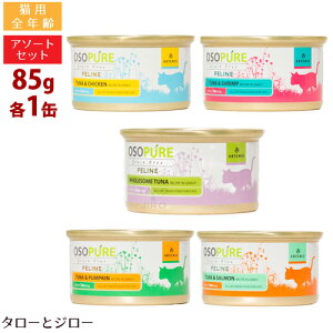 A[e~X I\sA Lp tB[C 5̖A\[gZbg 85g×e1 Lp EFbgt[h Lbgt[h ʋl yci/T[/pvL/Vvz