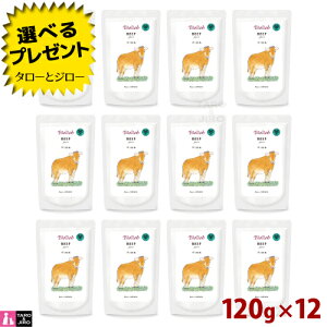 yIׂ邨܂tzrII[u sA r[t 120g×12 p LpEFbgt[h h{⏕H gbsO 育 hbOt[h Lbgt[h