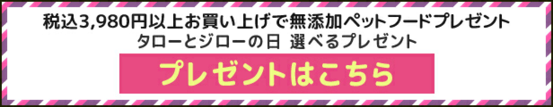 プレゼントキャンペーン