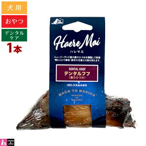 n}G p f^tt ̂ЂÂ 1s[X