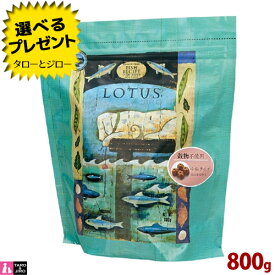 ロータス 成犬用 グレインフリー フィッシュ レシピ 小粒 800g プレミアム ドッグフード