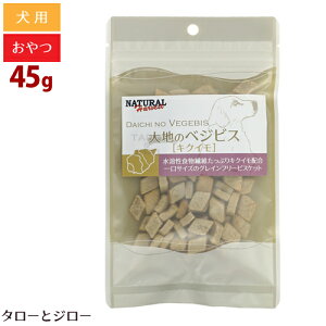 y4_܂ 290~zi`n[xXg ñxWrX 45g@pvL / u[x[ / LNC / zbP / G]@p OCt[ rXPbg