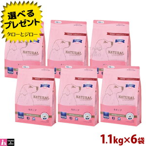 y|Cg10{zyIׂ邨܂tzi`n[xXg p LhjA tPA HÖ@H hbOt[h p hCt[h 