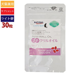 y^WCg 4_܂ 290~z i`n[xXg / Jg[[h v` NIC 30 t \tgJvZ  p Lp Tvg IK3ys/s/