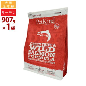 ybgJCh p gCvhC O[gCvCh T[ 907g SNp v~A hbOt[h