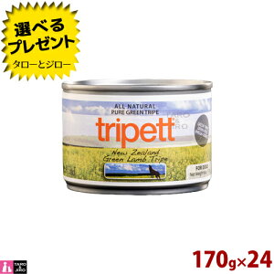 y|Cg5{zyIׂ邨܂tzybgJCh p gCybg j[W[h O[  gCv n[t 170g×24 SNp h{⏕H  v~A hbOt[h