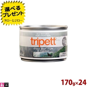 y|Cg5{zyIׂ邨܂tzybgJCh p gCybg O[ r[t gCvxj\ n[t 170g×24 SNp h{⏕H  v~A hbOt[h