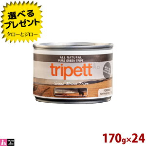 y|Cg5{zyIׂ邨܂tzybgJCh p gCybg O[ oC\ gCv n[t 170g×24 SNp h{⏕H  v~A hbOt[h