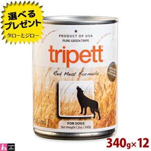 y|Cg5{zyIׂ邨܂tzybgJCh p gCybg bh~[g tH[~ 340g×12 SNp h{⏕H  v~A hbOt[h