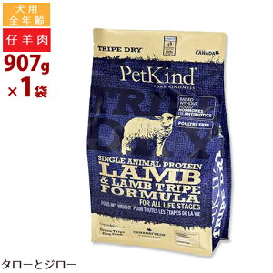 ybgJCh p gCvhC SAP O[  gCv  907g SNp v~A hbOt[h