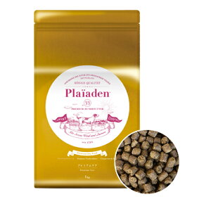 vCA[f phCt[h 1kgyCoX / v~APA / O / vczv~A hbOt[hyv~APA j[Az