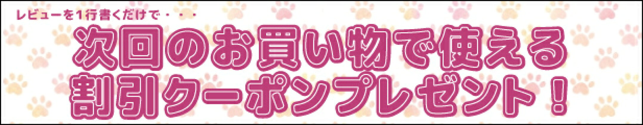 商品レビューでクーポンプレゼント