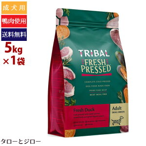 y|Cg10{zyIׂ邨܂tzTRIBAL gCo tbV_bN XLu 5kg p hCt[h OCt[ sgp hbOt[h