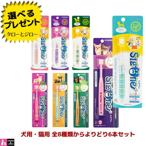 yIׂ邨܂tzroebN p Lp uV VO VORpNg ǂ6{Zbg 8ނIׂ