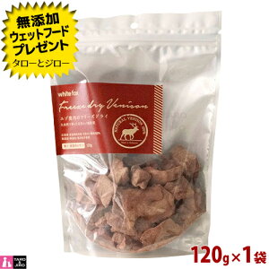 yIׂ邨܂tzwhite fox zCgtHbNX  L p yG]̃t[YhCz120g nD Y  Y HAM[z ^pN ᎉb