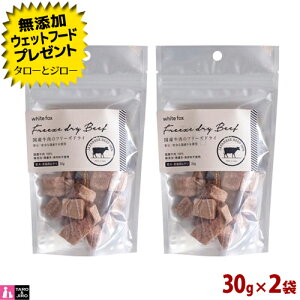yIׂ邨܂tzwhite fox zCgtHbNX  L p  Ỹt[YhC _CXJbg 30g×2  Ef C`{ nD Y  Y ^pN gbsO 