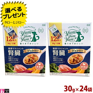 【選べるおまけ付】ヤムヤムヤム! 健康 マネジメント 腎臓 犬用 30g×24袋(2箱) ジュレタイプ チキン 慢性腎臓病 CKD プレミアム