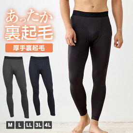【一部予約】裏起毛タイツ メンズ 肌着 レギンス ロングタイツ 大きいサイズ M L LL 3L 4L 全4色