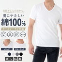 【一部予約】綿100％インナー メンズ インナー Vネック クルーネック 半袖 肌着 綿100％ 無地 M L LL 3L 全5色