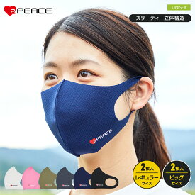 Dマスク 2枚入り 男女兼用 マスク 立体構造 ビックサイズ 大きいサイズ 大きい 大きめ 立体 布マスク 大人用 洗えるマスク 繰り返し使える 日本製