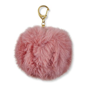 hƃuU[ x A[ || sN 킢 ӂӂ tt 85dB 剹 hƃObY w ̎q j̎q q oZ ʊw l  ʋ GE084P 