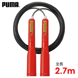 v[} PUMA ȂƂ WsO[v bh lC q w l j̎q ̎q ̈ ^ L_f^ g[jO tBbglX N ꒵ Ƃ d Ƃ L^