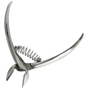 lCjbp[ ΐnܐ؂ ~j [ lC PA pi {Elnt jbp[^ ܐ؂ { XeX qI ̒ ̒  Lbvt j  p ] PT&Tq SV[Y 