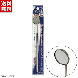 デンタルミラー ワイド 倍率2倍 ステンレス [デンタルケア用品 一般医療機器 口内ミラー 拡大鏡 歯鏡] PT&サヒ ピーティーアンドサヒインターナショナル 40500 送料無料