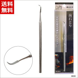 [八鉄シリーズ] 歯石とり ステンレス [デンタルケア用品 一般医療機器 歯間ようじ 歯垢取り 除去] PT&サヒ ピーティーアンドサヒインターナショナル 88006 送料無料