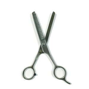 XLnT~ JbgnT~ U ͂ XeX [ wAJbg wAX^C X^CO ؂nT~ e w|t wAT e X^CXg wACN ] PT&Tq dV