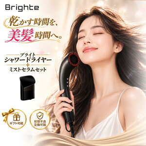 Brighte �h���C���[ brighte �V�����[�h���C���[ �u���C�g �������P �~�X�g�Z���� �J�[�g���b�W �� �~�X�g ���e�t �����P SHOWER DRYER �w�A�P�A �w�A�P�A�Z�b�g ���� �啗�� �y�� �u���b�N