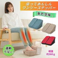 座ってあんしん ワンツーステッパー ニーズ ステッパー 座ったまま 座りながら 静音 コンパクト 軽量 約3…